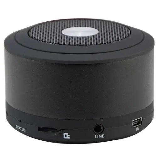Portable Speaker