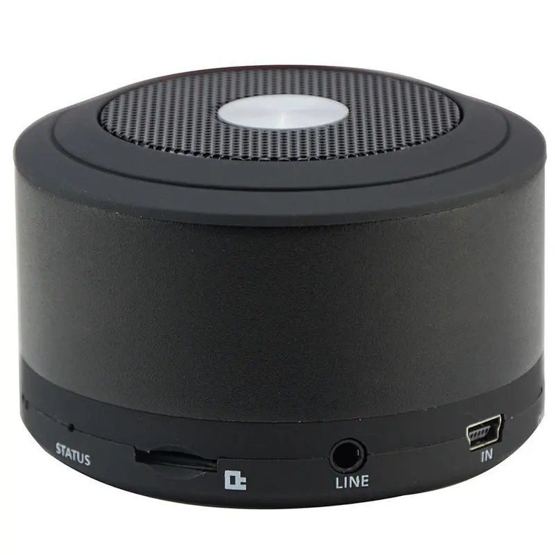 Portable Speaker