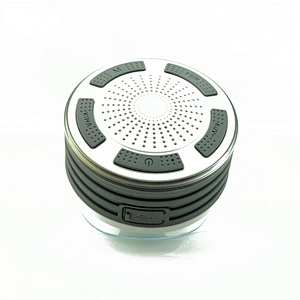 speaker outdoor