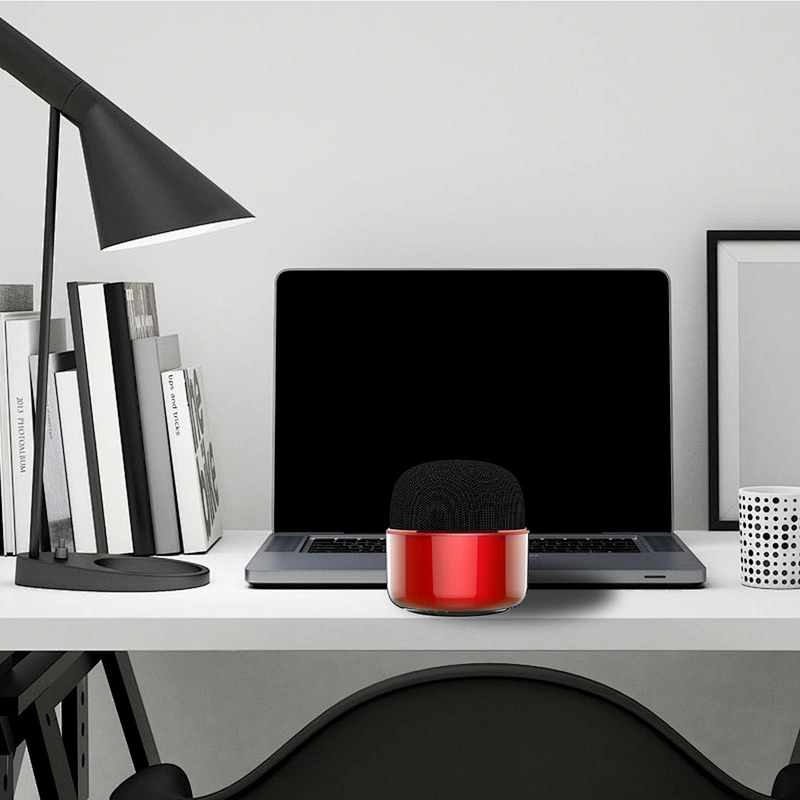 Mini speaker