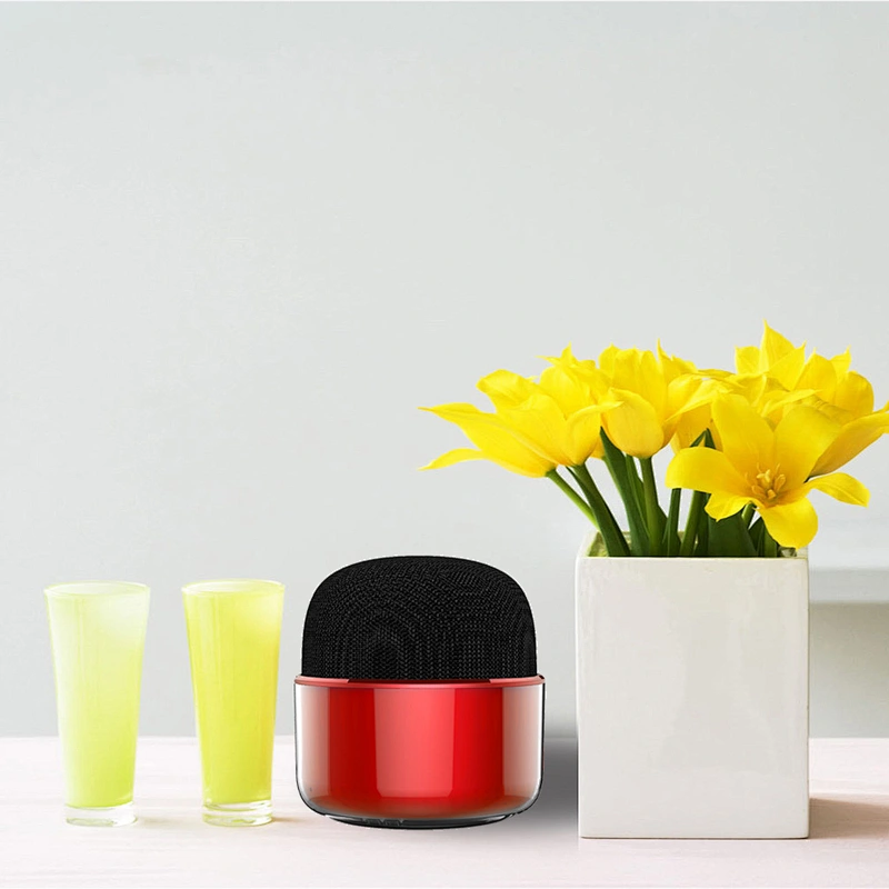 Mini speaker