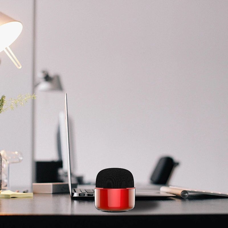Mini speaker