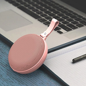 Mini Bluetooth Speaker