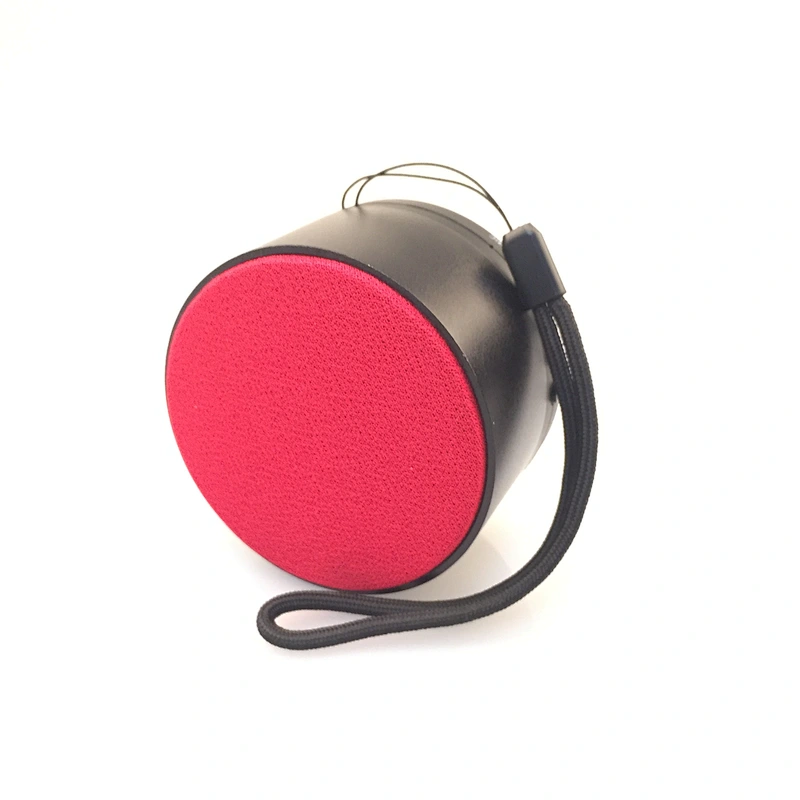 Portable Wireless Speaker