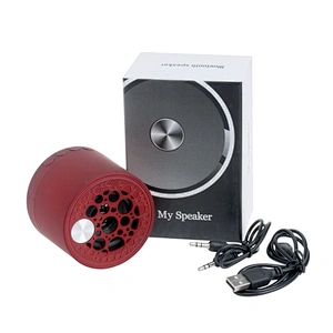 Portable Wireless Mini Speaker