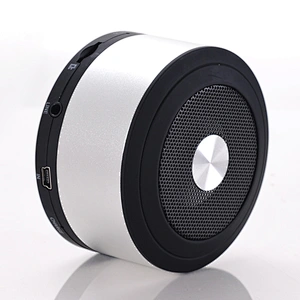 Portable Speaker