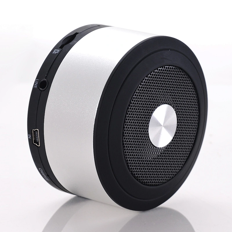 Portable Speaker