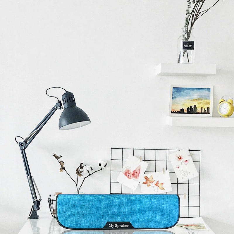 Bluetooth speaker power bank