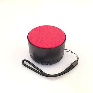 Portable Wireless Speaker