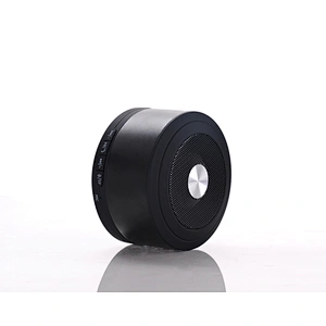 Portable Speaker