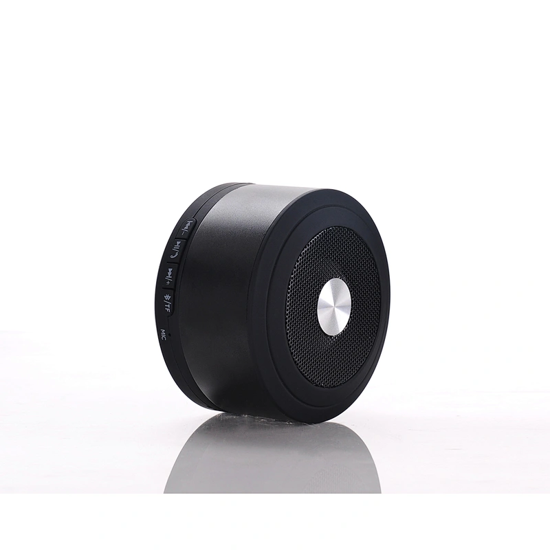 Portable Speaker
