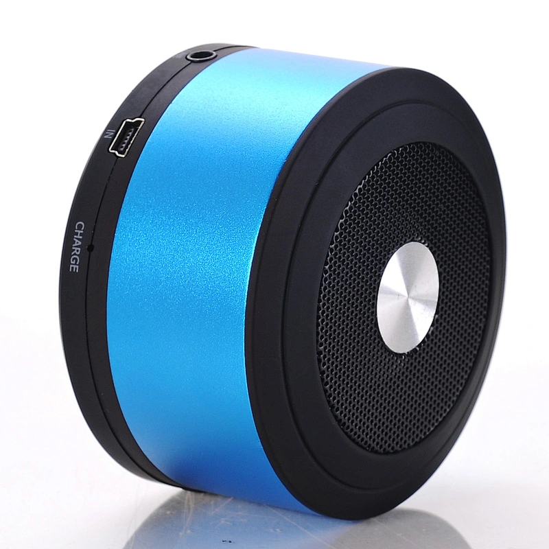 Speaker