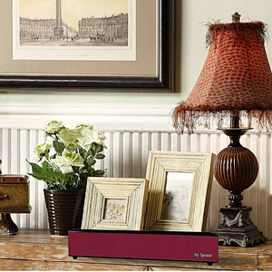 Big bluetooth speaker