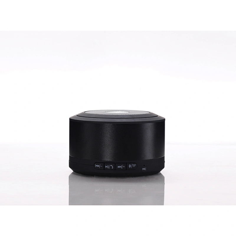 Portable Speaker