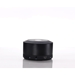 Portable Speaker