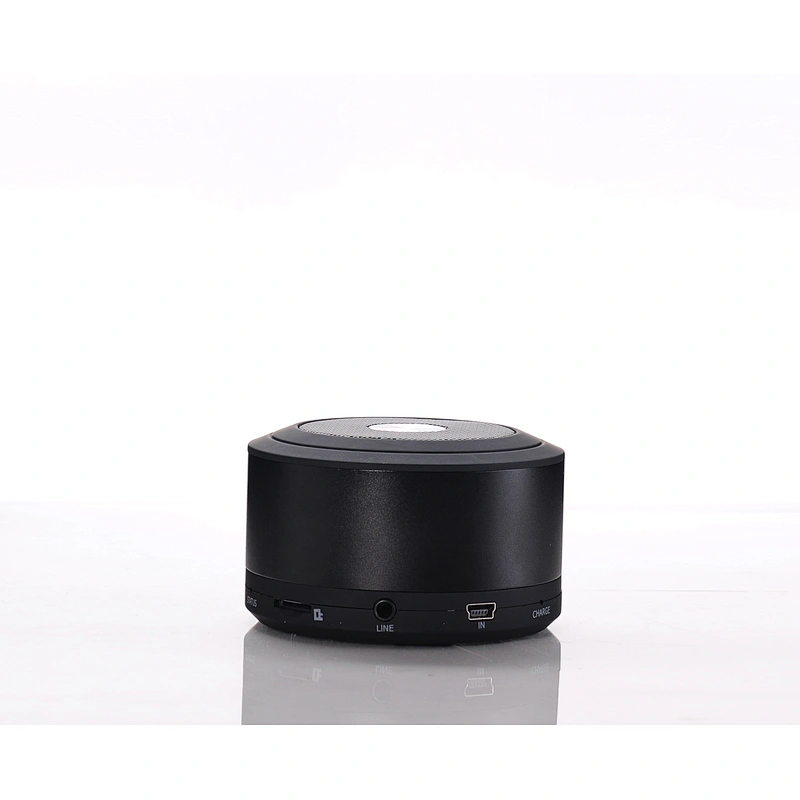 Portable Speaker
