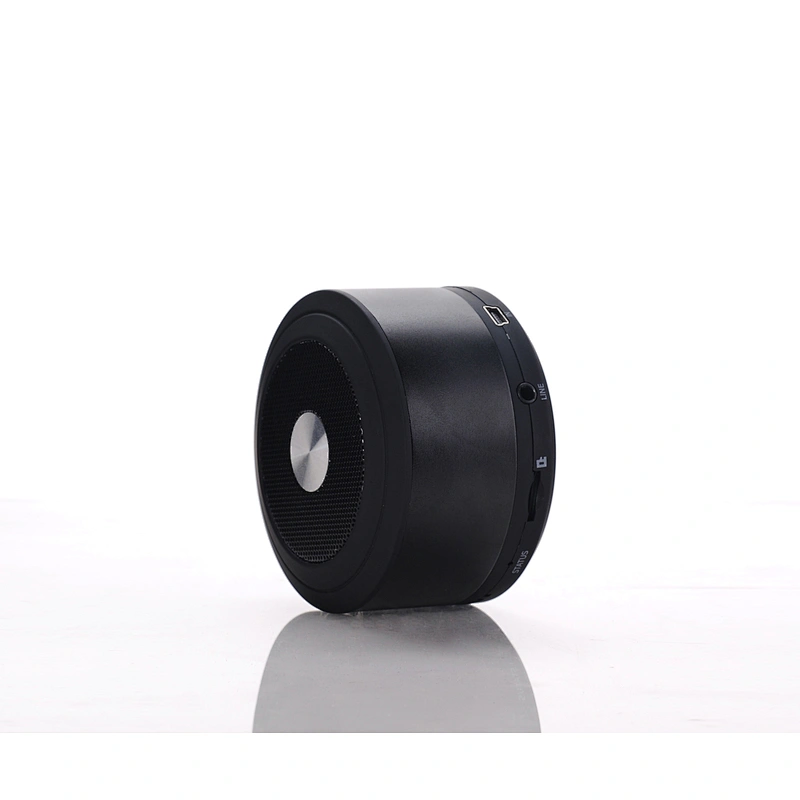 Portable Speaker