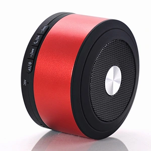 Speaker