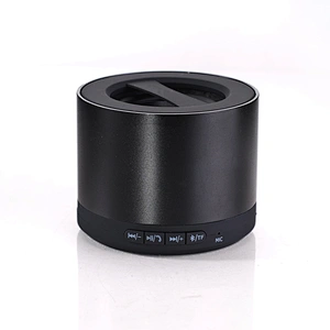 speaker