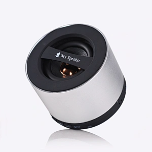 FM Radio Subwoofer Audio