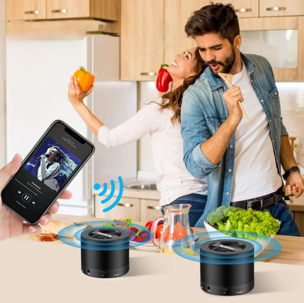 PORTABLE MINI BLUETOOTH SPEAKER
