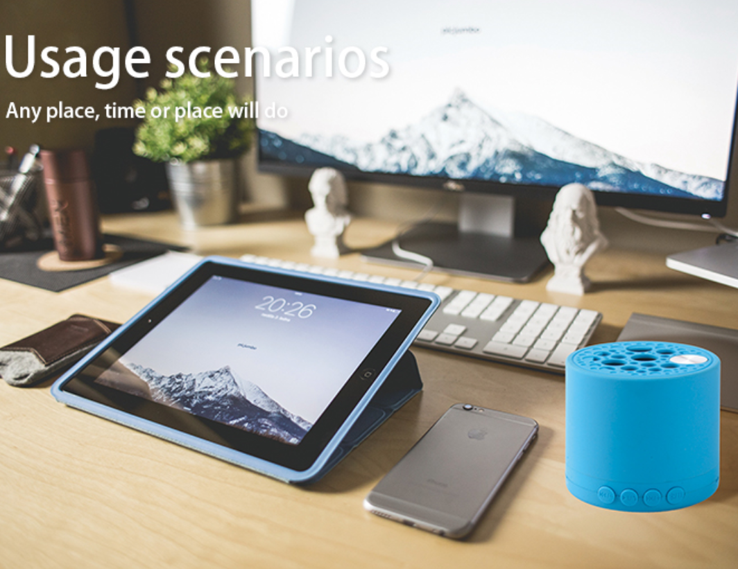 PORTABLE MINI BLUETOOTH SPEAKER