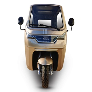 electric tricycle cargo tricycle 3 Wheel Motorcycle semi closed Rickshaw