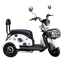 CE trike 3 wheel electric tricycle 500w 3 passenger electric tricycle electric pedal tricycle