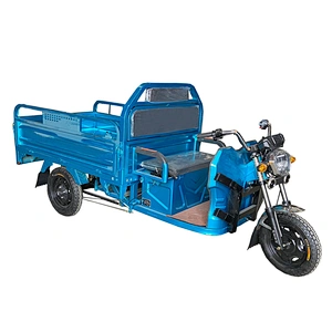 E Power Electric Tricycles With Big Loading  cargo tricycle three-Wheeled Motorcycle ZS-160LB