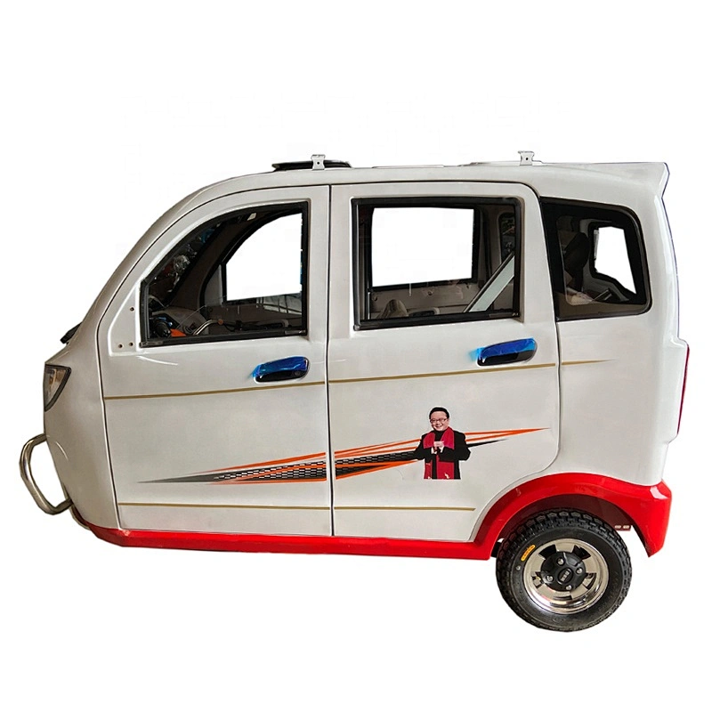 cargo tricycle three Wheeler Motorcycle tuk tuk rickshaw for sale Fully Enclosed Cargo electric tricycle