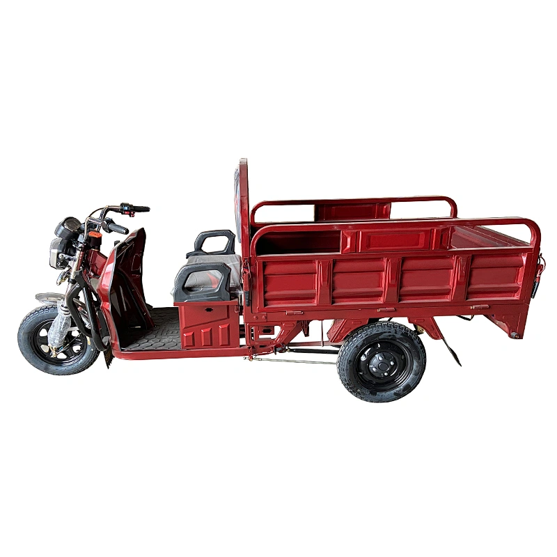 Best price Mail Car Express Delivery electric tricycle cargo tricycle three-Wheeled Motorcycle ZS-150LM