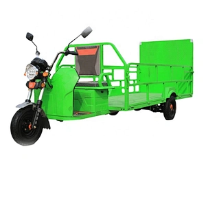Large capacity electric 3 wheel sanitation bike street garbage cleaning tricycle