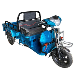 electric tricycle for parcel delivery express industry 800W  cargo tricycle three-Wheeled Motorcycle ZS-110LB