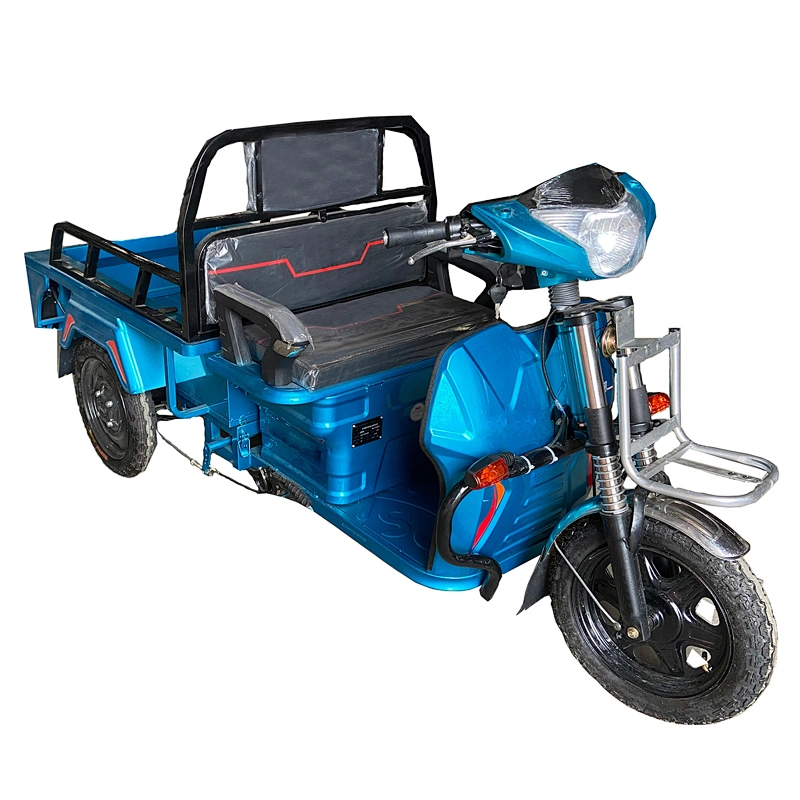 electric tricycle for parcel delivery express industry 800W  cargo tricycle three-Wheeled Motorcycle ZS-110LB
