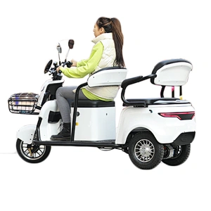 eec trike 3 wheel electric tricycle 500w pick up children and the Goods Mobility Scooter for the Elderly