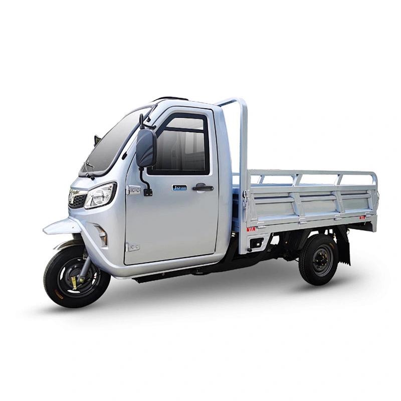 2021 Zsuccess electric tricycle for cargo transportation electric motorcycle for sale
