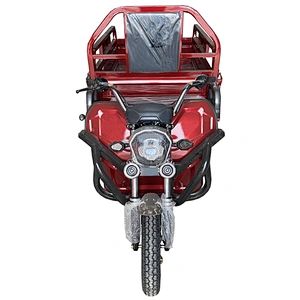 Auto Rickshaw Motorcycle Express Delivery Goods Electric Tricycle  three-wheeled motorcycle ZS-150LM