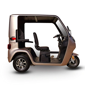 electric tricycle cargo tricycle 3 Wheel Motorcycle semi closed Rickshaw