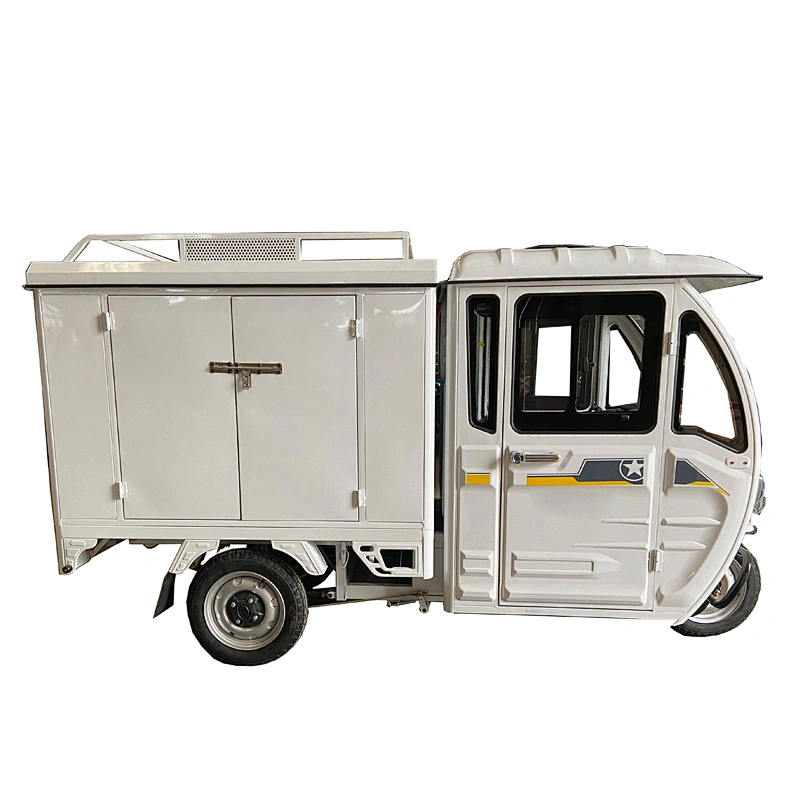 2021 Z-success electric tricycle van cargo tricycle e trike 3 wheel