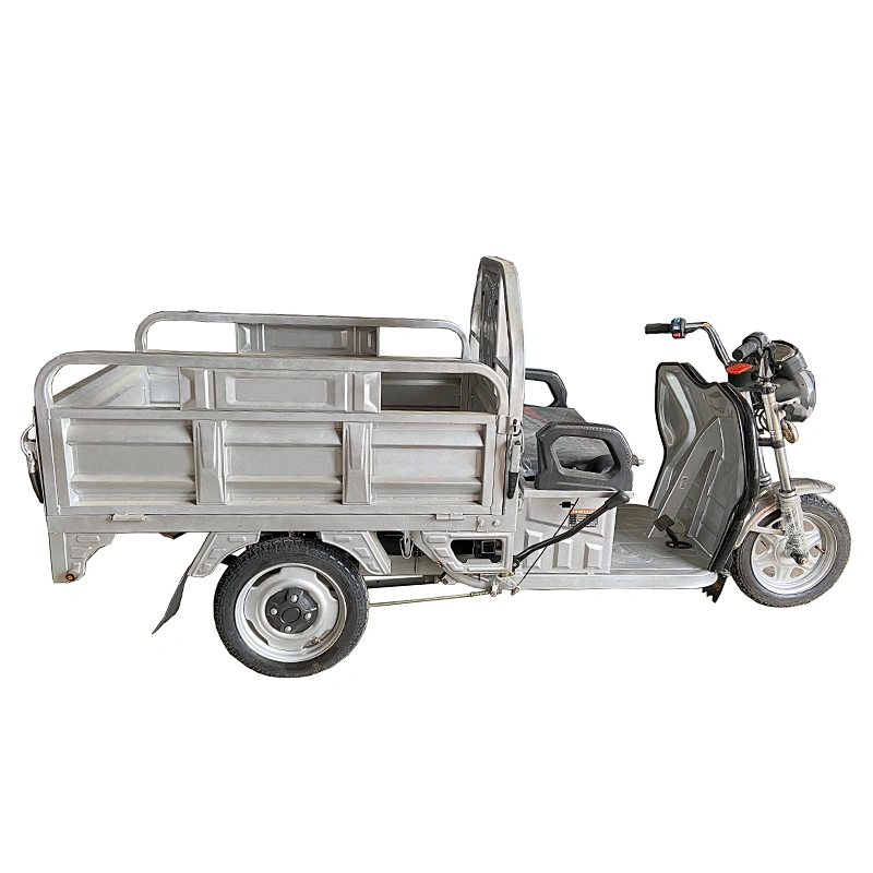 electric tricycle cargo tricycle three-Wheeled Motorcycle  Rickshaw Fully Enclosedr Cargo ZS-130LM
