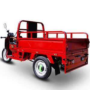 2021 Z-success elektro tricycl cargo 3 Wheel delivery Motorcycle DHL express company