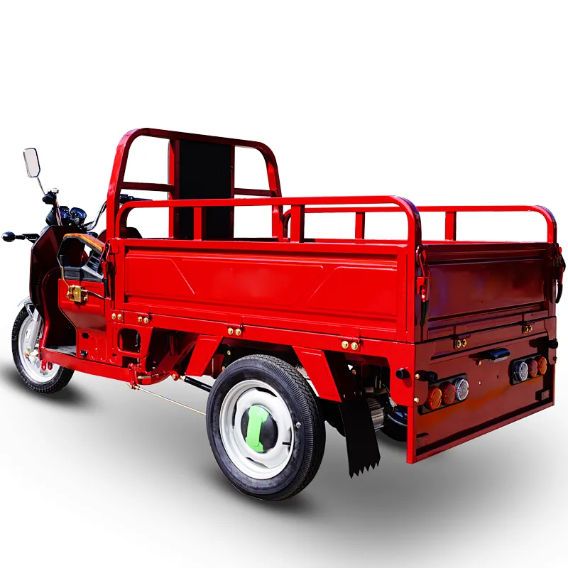 2021 Z-success elektro tricycl cargo 3 Wheel delivery Motorcycle DHL express company