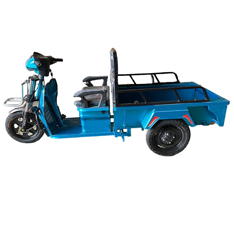 electric tricycle for parcel delivery express industry 800W  cargo tricycle three-Wheeled Motorcycle ZS-110LB