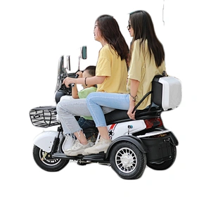 self-balancing electric scooters 3 wheel electric bike EEC trike 500W