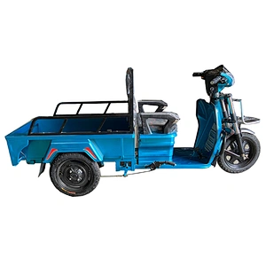 electric tricycle for parcel delivery express industry 800W  cargo tricycle three-Wheeled Motorcycle ZS-110LB