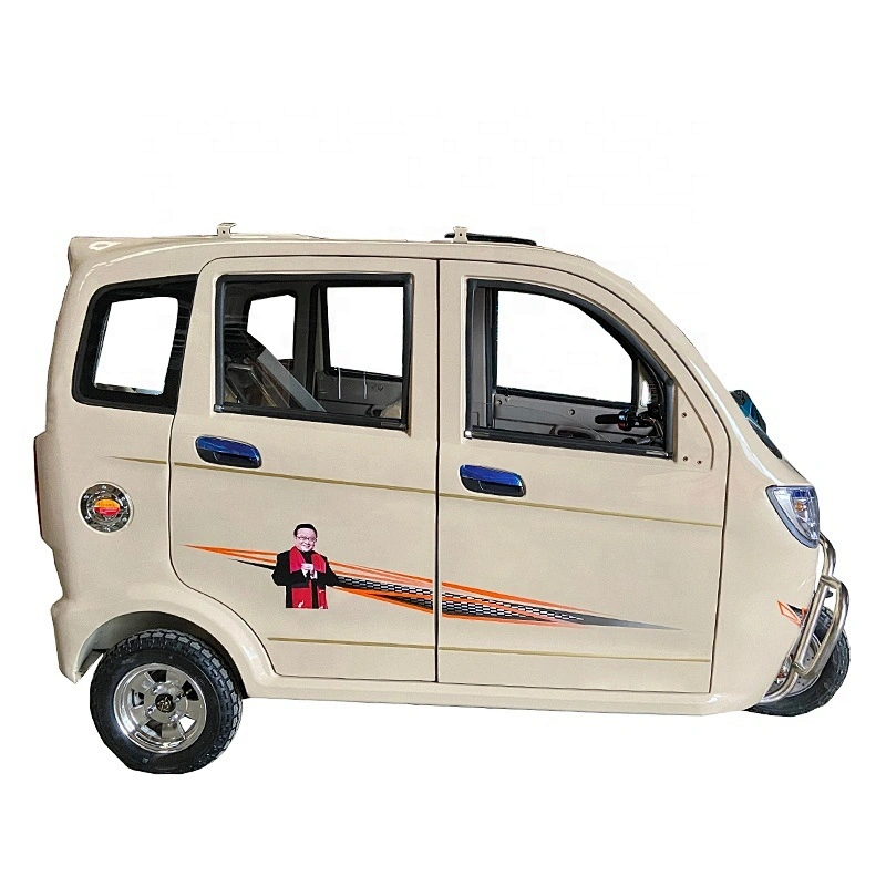 cargo tricycle three Wheeler Motorcycle tuk tuk rickshaw for sale Fully Enclosed Cargo electric tricycle