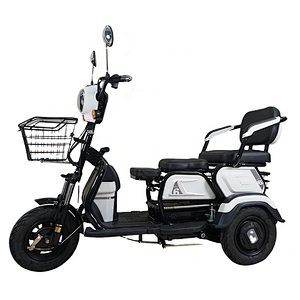 battery capacity 22A/20A/13A electric tricycle adult tricycle moto tricycle