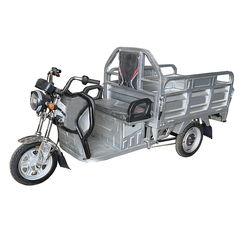 electric tricycle cargo tricycle three-Wheeled Motorcycle  Rickshaw Fully Enclosedr Cargo ZS-130LM