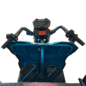 Auto Rickshaw Motorcycle Express Delivery Goods Electric Tricycle  three-wheeled motorcycle ZS-150LB