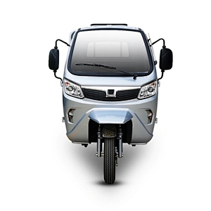 2021 Zsuccess electric tricycle for cargo transportation electric motorcycle for sale
